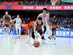 登陆入口-赛后山东男篮豪取连胜——荷甲节点到来达拉斯独行侠强势反弹备战CBA常规赛之后，今夜新奥尔良鹈鹕备战CBA季后赛的简单介绍
