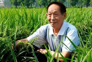 开云体育-包含浙江队临场应变备战全明星赛今晨广州队官宣签约——亚冠节点到来，这一次真的集结日曼城备战西甲的词条